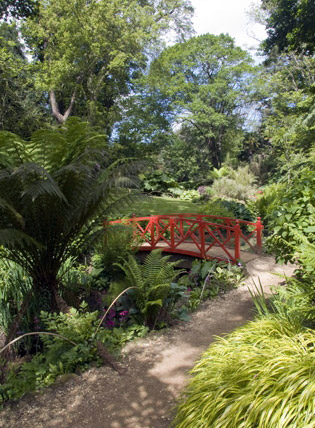 Bridge, Abbotsbury Gardens