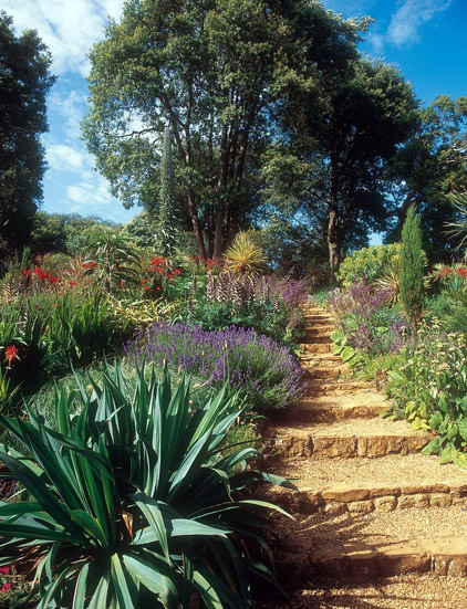 Abbotsbury Subtropical Gardens, Dorset
