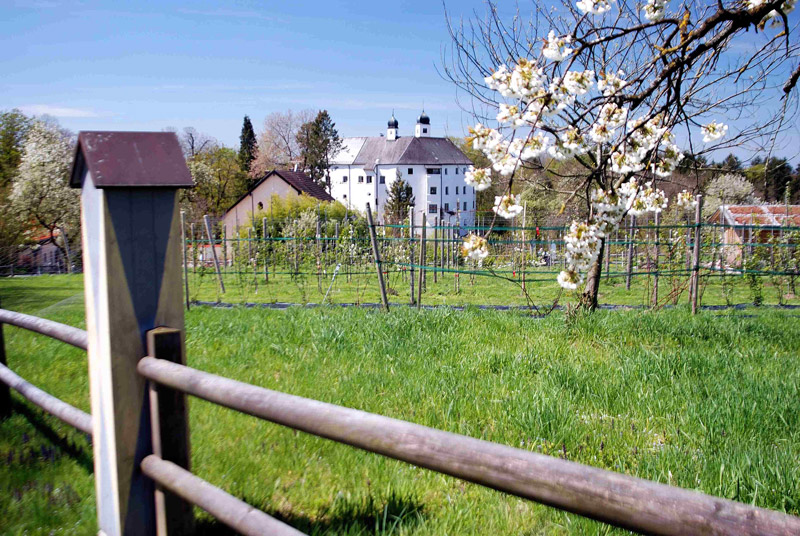 Castle and Orchard
