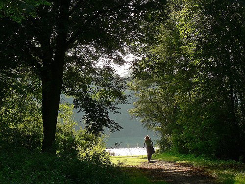 Amsterdamse Bos Park