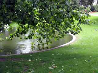 Angers jardin des plantes