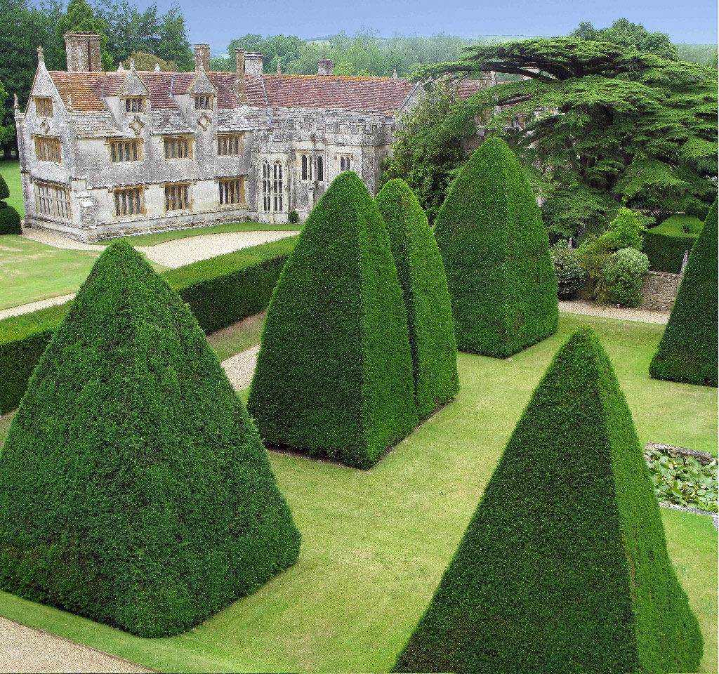 Athelhampton House