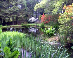 Barguillean garden scotland