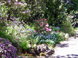 Berrybotanic rockgarden