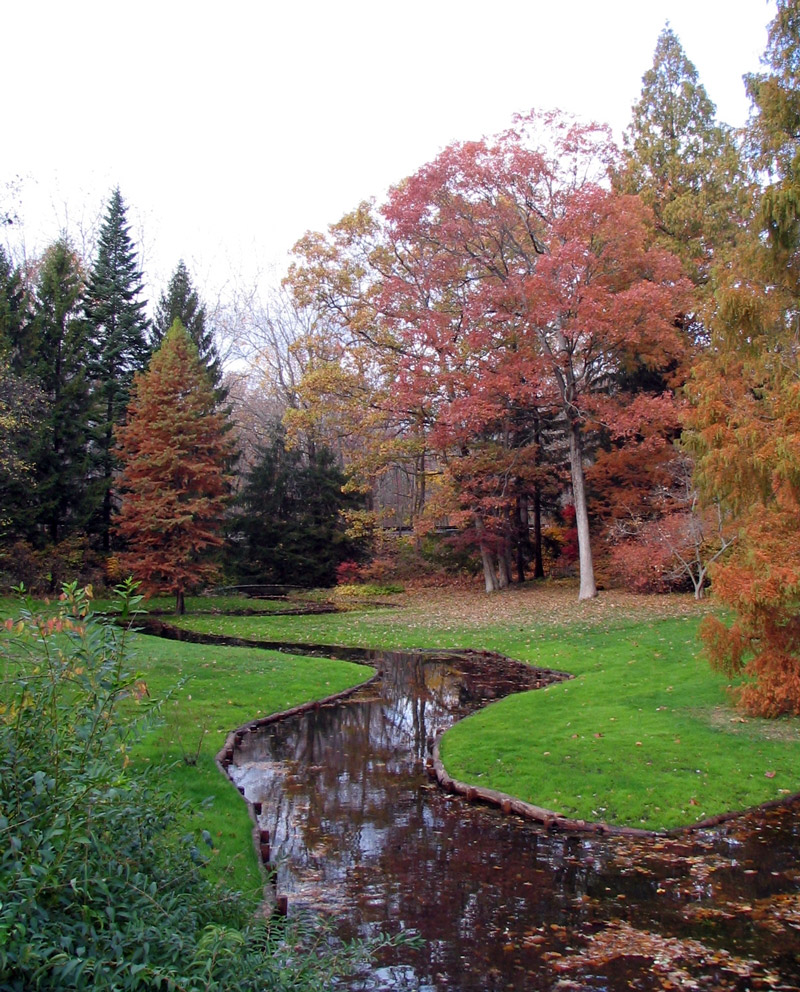 Leonard J Buck Garden, Autumn