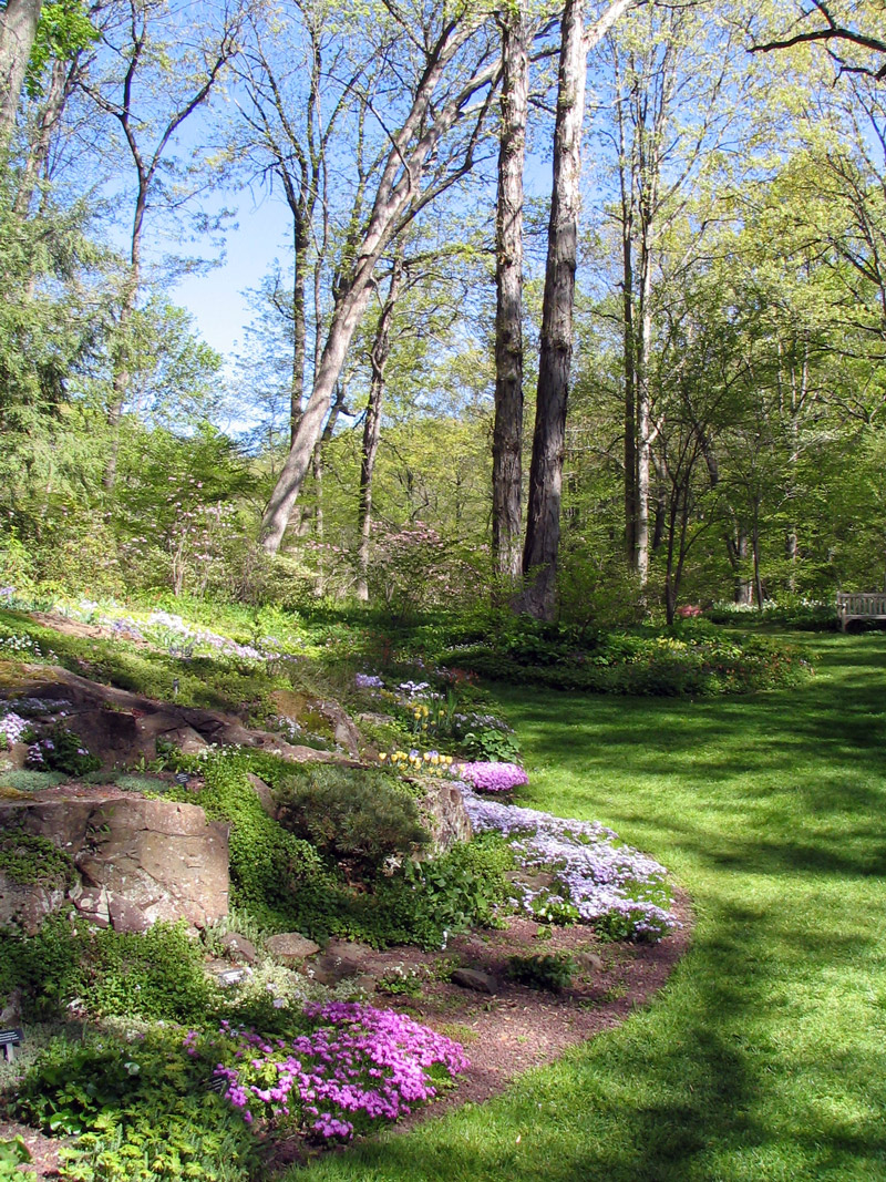 Leonard J Buck Garden, Spring