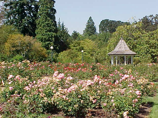 Bush pasture park
