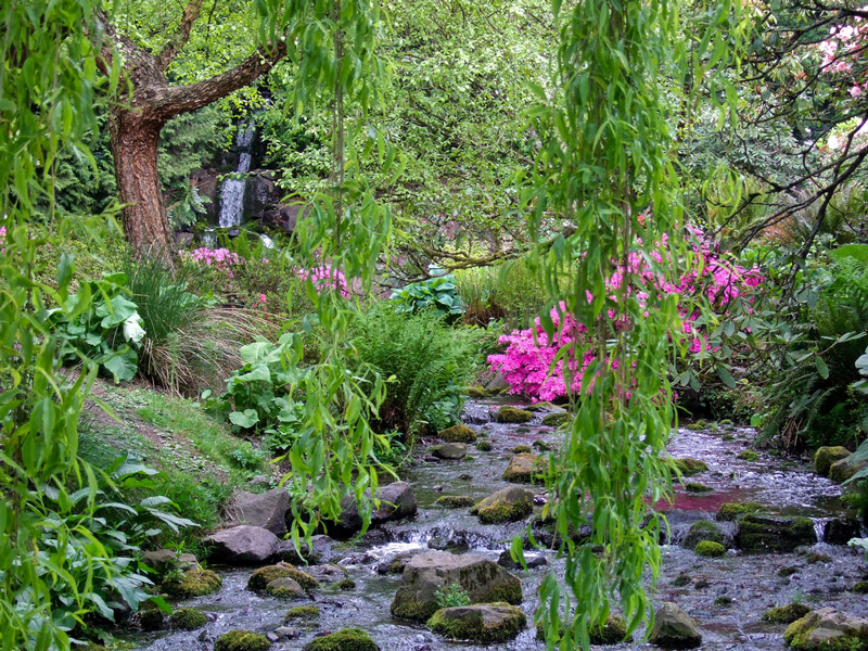 Crystal Springs Rhododendron Garden