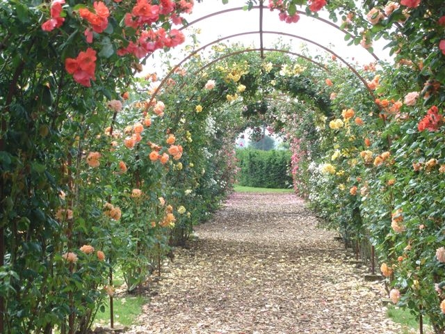 Roses, De Tuinen in Demen