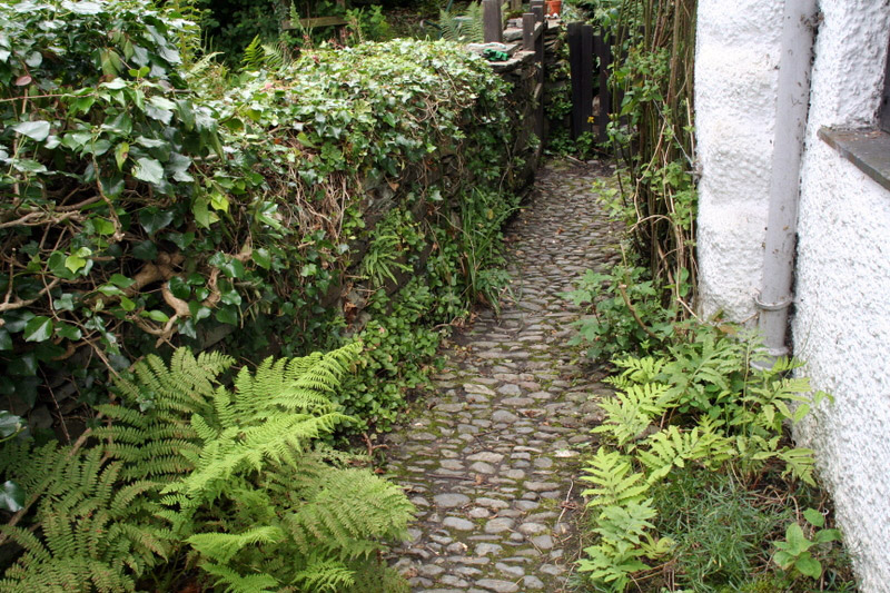Dove Cottage, 2008