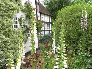 Garden Nursery on Cottage Garden Nursery   Gardenvisit Com  The Garden Landscape Guide