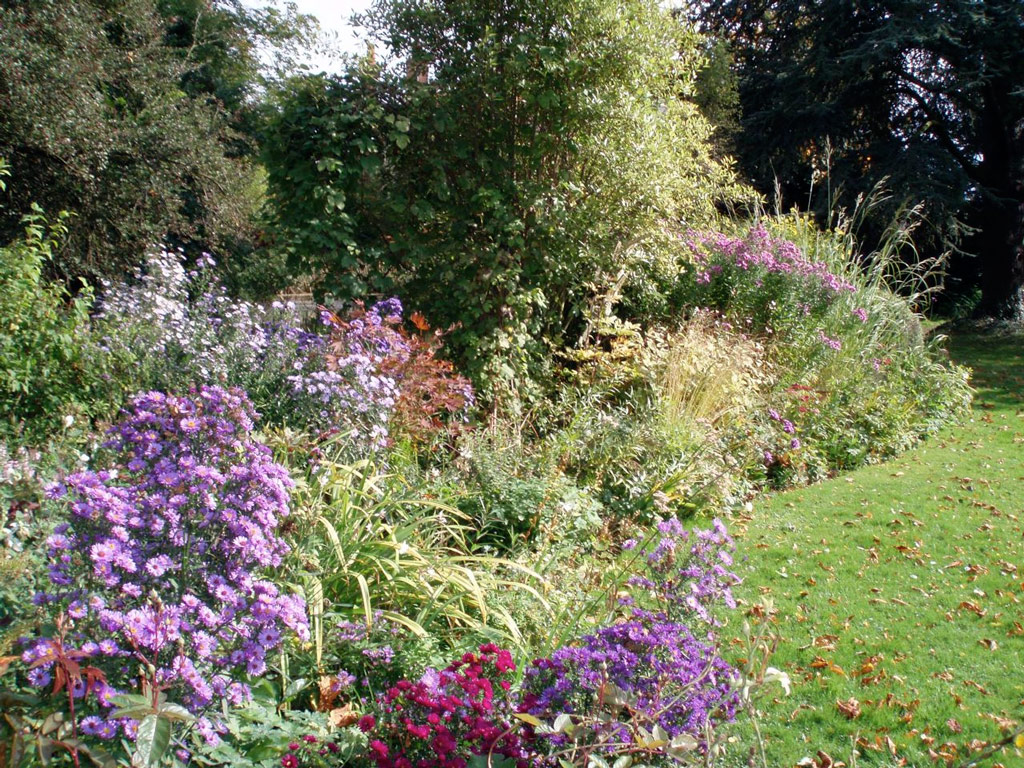 Border Garden