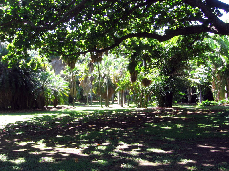 Foster Botanical Garden, Hawaii