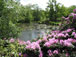 Garden Designer Directory