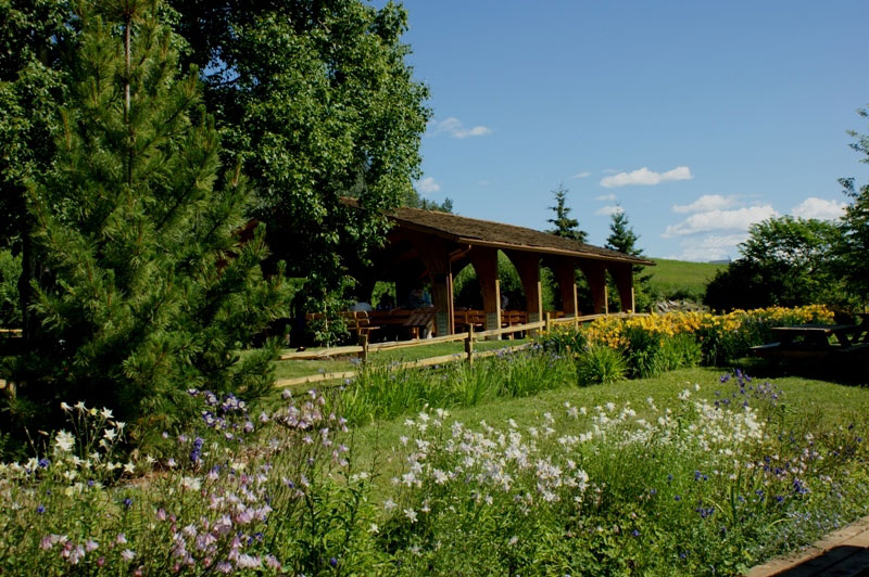 Picnic Shelter, Georgeson Botanical Garden