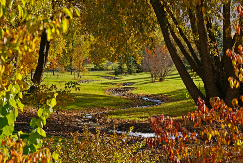 University of Idaho Arboretum