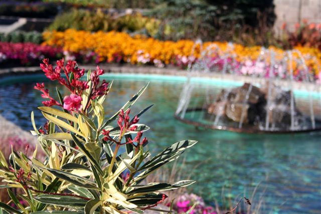 International peace garden