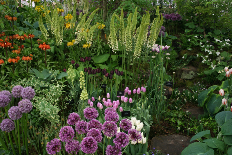 Jacques Amand International at Chelsea Flower Show 2008