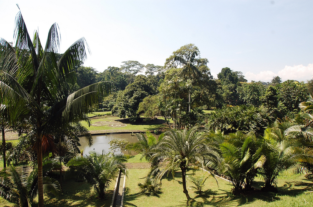 Kebun Raya Botanical Garden Bogor