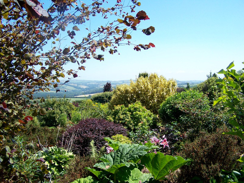 Ken-Caro Gardens