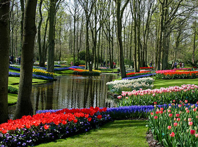 Spring at Keukenhof, Holland