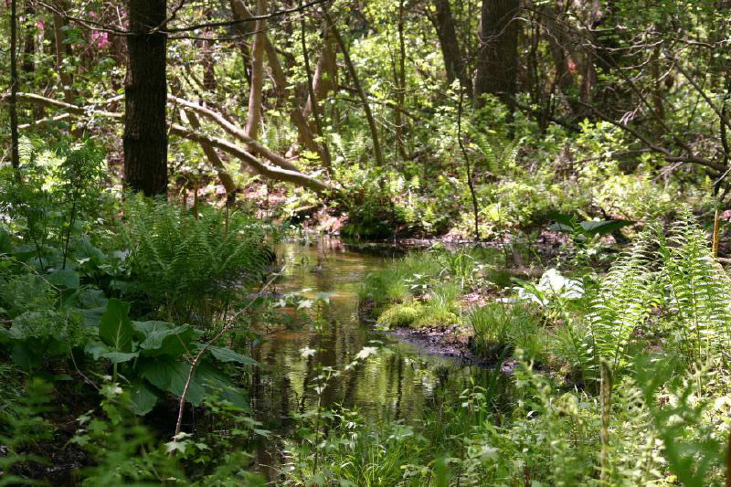 Leaming's Run Gardens, New Jersey