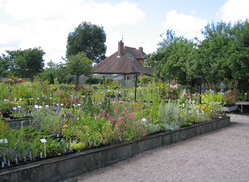 Nursery at Merriments Gardens
