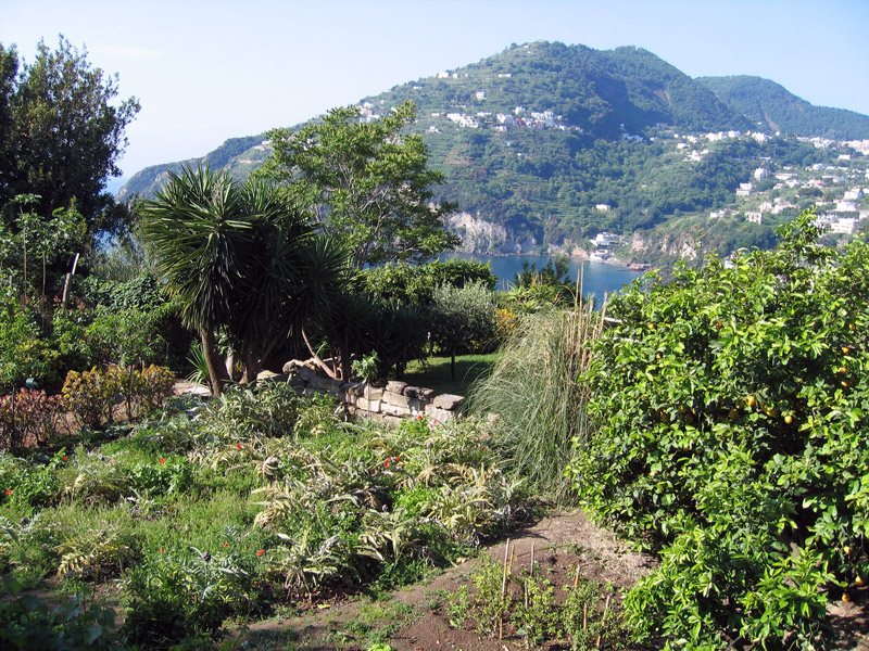 Albergo+il+monastero+castello+aragonese+ischia