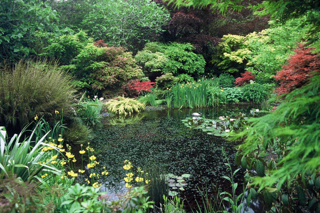 Large Garden Ponds