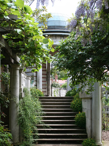 Natural Pergola