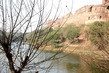 Purana qila1
