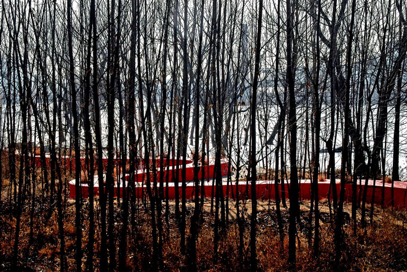 Forest, Tanghe River Park Red Ribbon