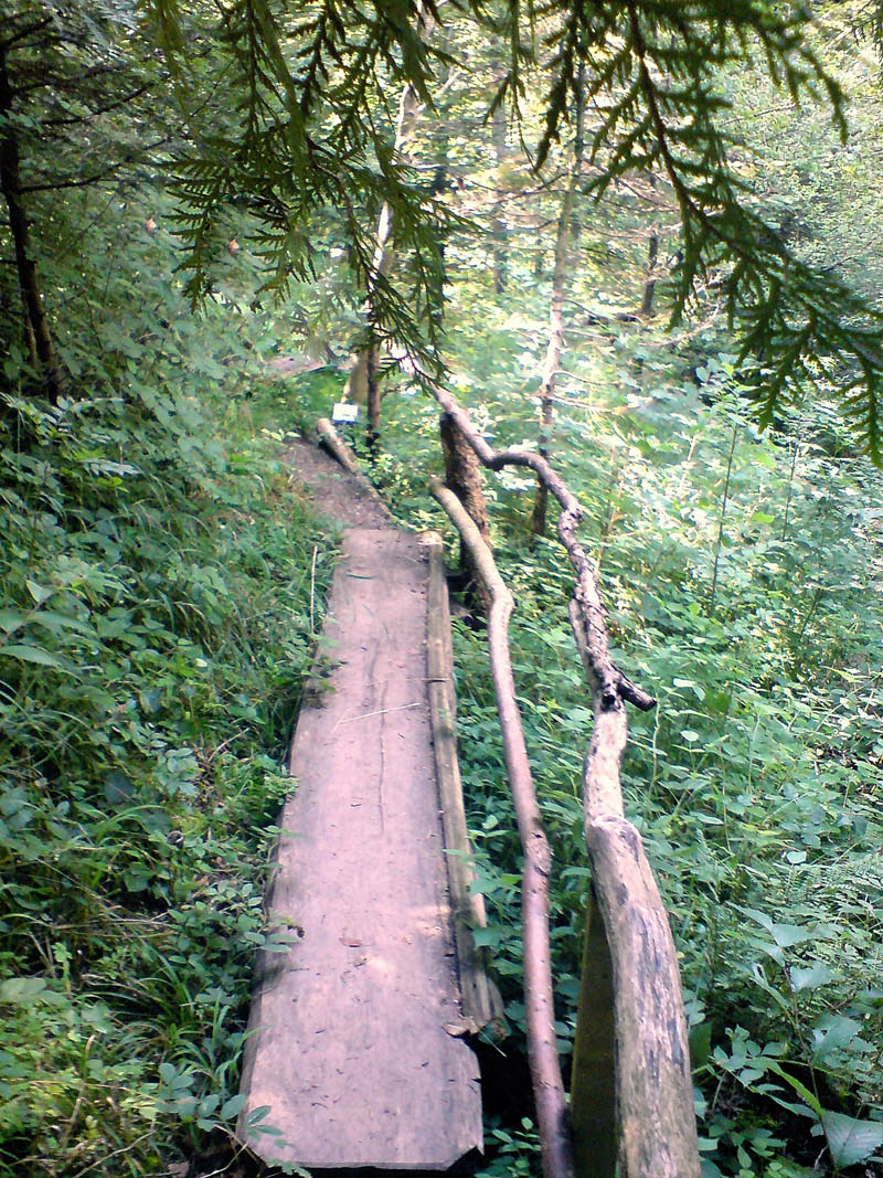 Trail, Schloss Amerang