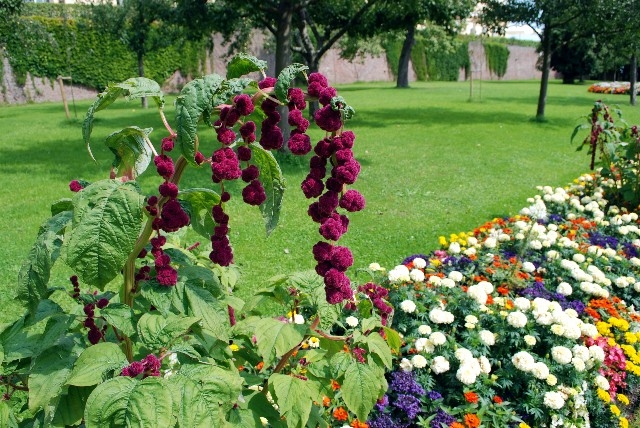 Schloss Dachau Garden