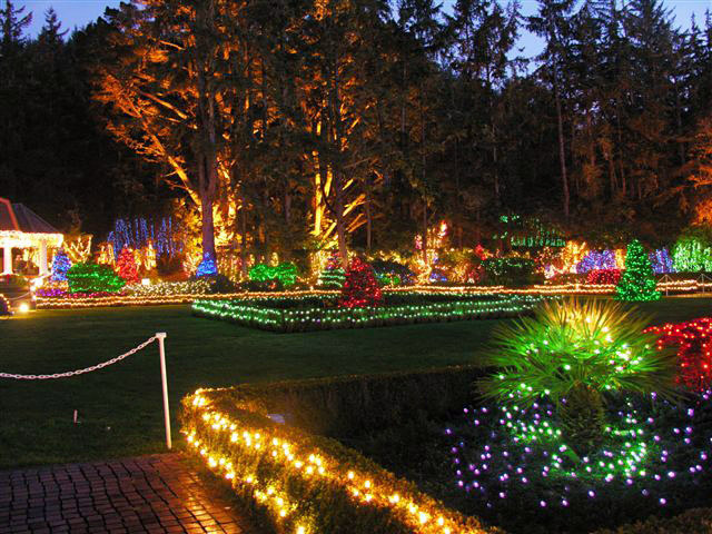 Holiday Lights, Shore Acres Gardens