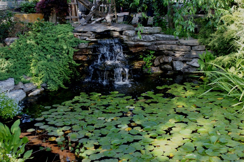Springhouse Gardens, Kentucky