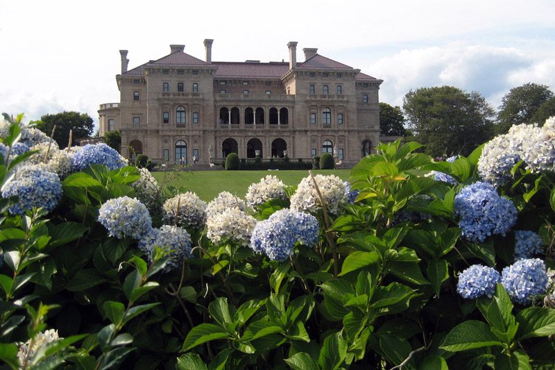 Hydrangeas, The Breakers Garden