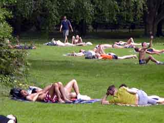 Tiergarten1