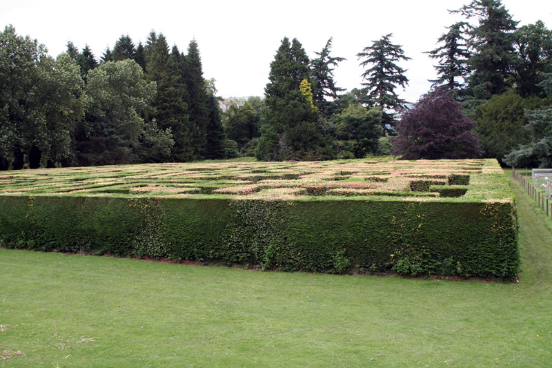 Maze, Traquair House Garden