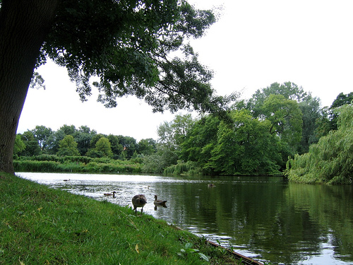 Vondel Park
