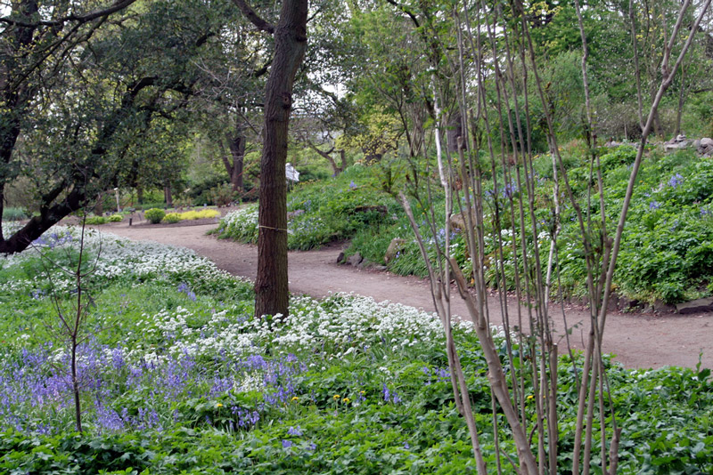 Wageningen Botanical Garden, Holland