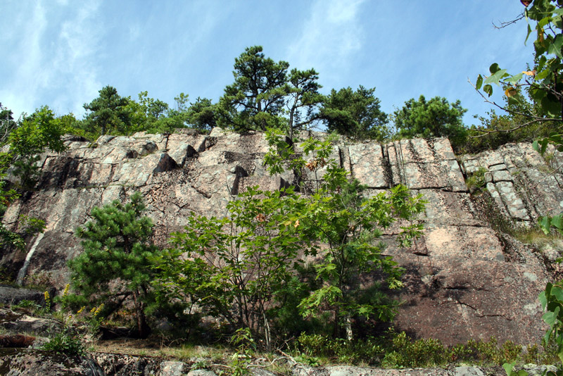 Dorr Mountain, Wild Gardens of Acadia