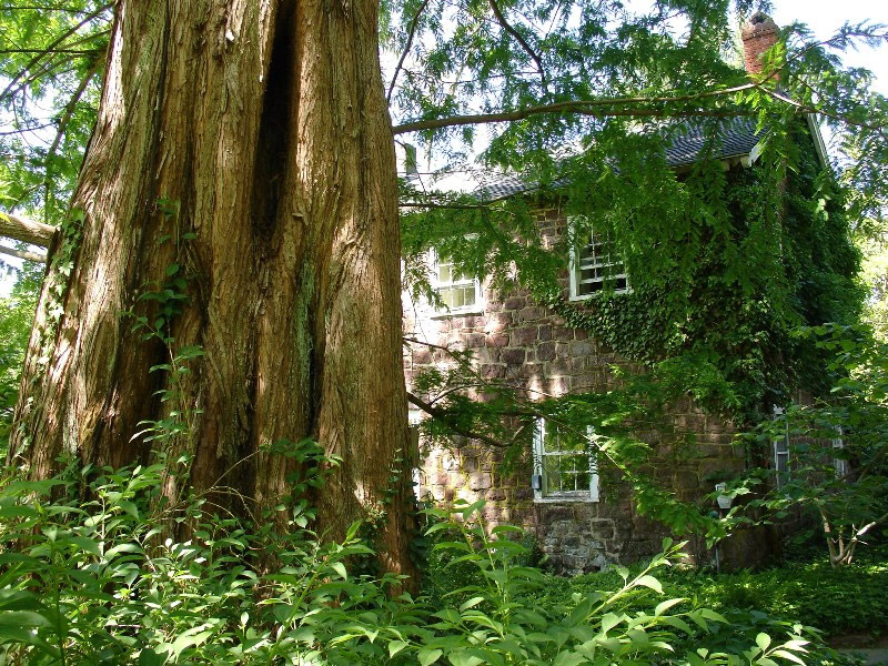 Willowwood Arboretum, New Jersey