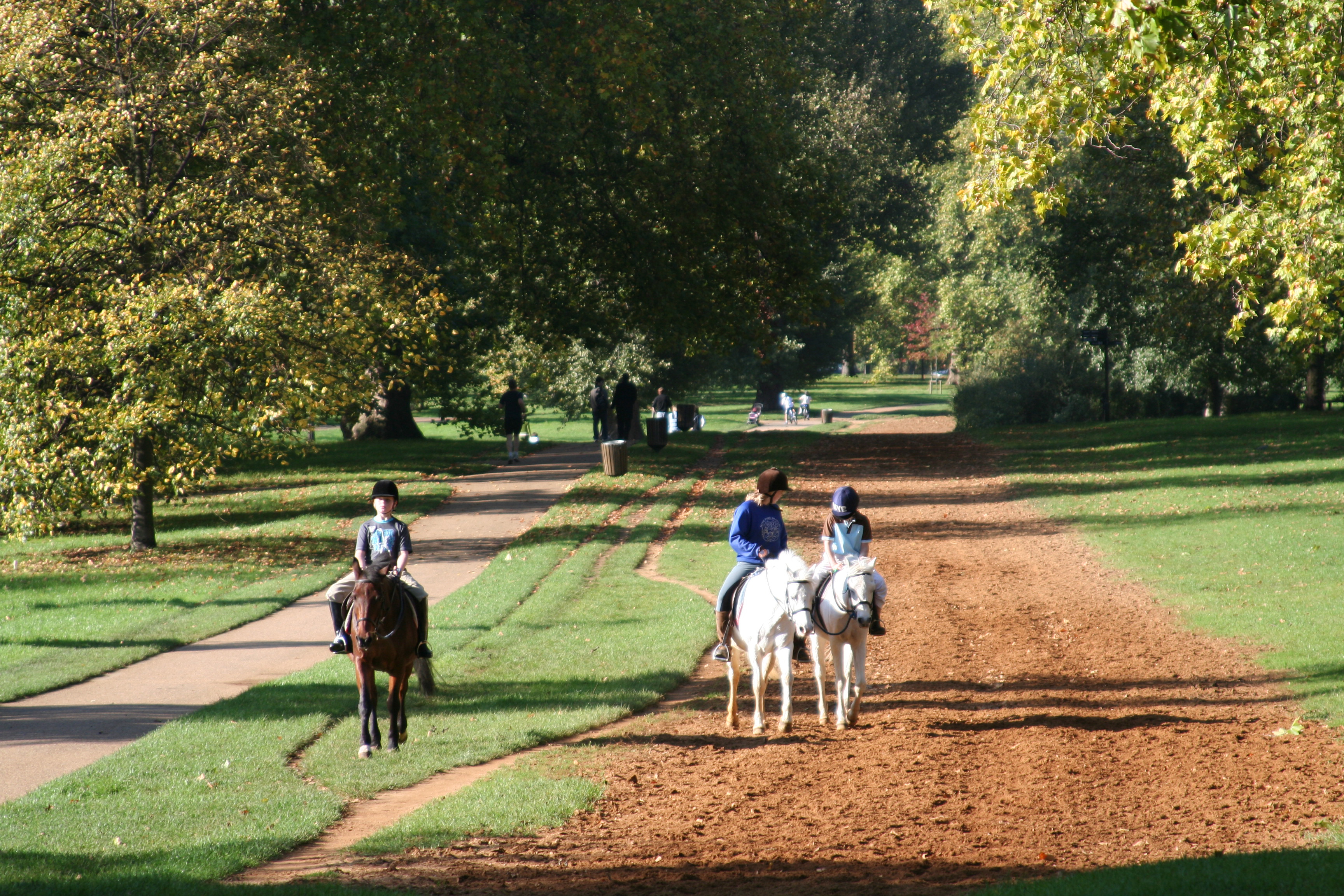 Парк Hyde Park